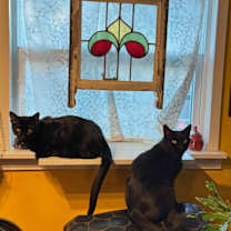 Thumbnail photo of Nellie #2