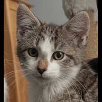 Thumbnail photo of Winnie L #1