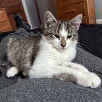 Thumbnail photo of Winnie L #2