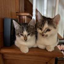 Thumbnail photo of Winnie L #4