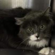 Thumbnail photo of Dean #3