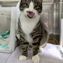 Thumbnail photo of Morocco #2