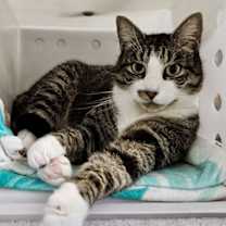 Thumbnail photo of Morocco #4