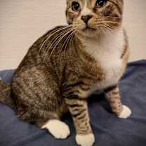 Thumbnail photo of Soda #1