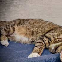 Thumbnail photo of Soda #3