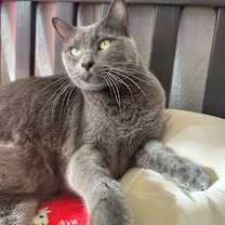 Thumbnail photo of Luna #2