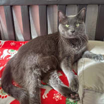 Thumbnail photo of Luna #3