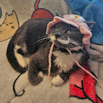 Thumbnail photo of Ali #4