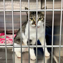 Thumbnail photo of Kailani #2