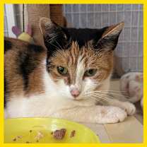 Thumbnail photo of Madeleine #2