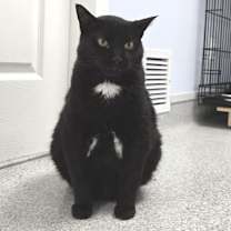 Thumbnail photo of Bogey #4