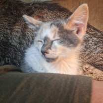 Thumbnail photo of River #2