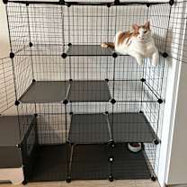 Thumbnail photo of Thor #2