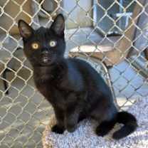 Thumbnail photo of Fizzy #1