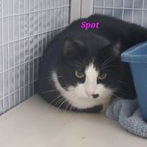 Thumbnail photo of Spot #1