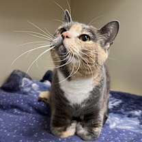 Thumbnail photo of Gracee #2