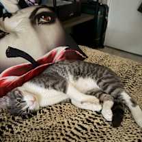 Thumbnail photo of Stitch #2