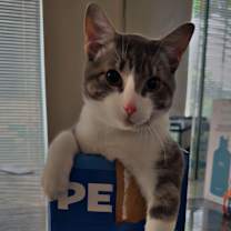 Thumbnail photo of Stitch #3