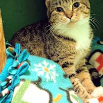 Thumbnail photo of Serena & Sierra: Sweet Sisters #2