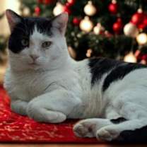 Thumbnail photo of Slurms MacKenzie #1