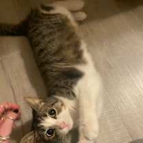 Thumbnail photo of Tagalong #3