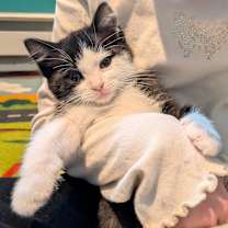 Thumbnail photo of Ethel #1