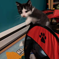 Thumbnail photo of Ethel #4