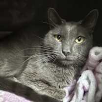 Thumbnail photo of Mike Wheeler #1