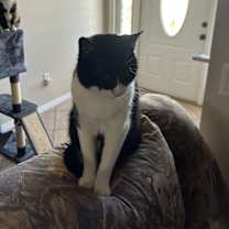 Thumbnail photo of John Jacob #4