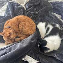 Thumbnail photo of Pumpkin #4