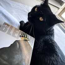 Thumbnail photo of Lucille (Lucy) #1