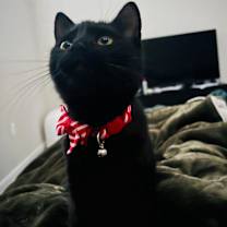 Thumbnail photo of Lucille (Lucy) #3