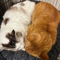 Thumbnail photo of Key #3