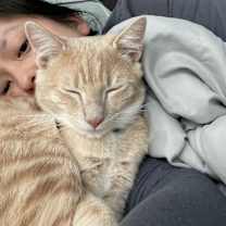 Thumbnail photo of Oliver (free) #3