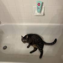 Thumbnail photo of Sissy #3