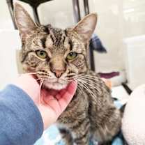 Thumbnail photo of Jack Frost #1