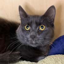 Thumbnail photo of Ivan #3