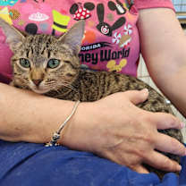 Thumbnail photo of Zachary #1