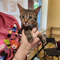 Thumbnail photo of Zachary #2