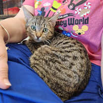 Thumbnail photo of Zachary #3