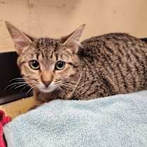 Thumbnail photo of Zachary #4