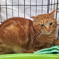 Thumbnail photo of Jolly #1