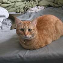 Thumbnail photo of Freya #2