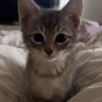 Thumbnail photo of Mila #2