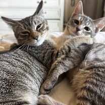 Thumbnail photo of Mila #3