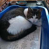 Thumbnail photo of Princess #1