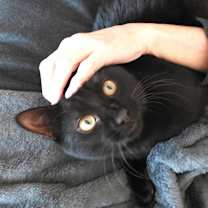 Thumbnail photo of Valentine #2