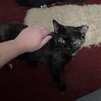 Thumbnail photo of Lydia #1