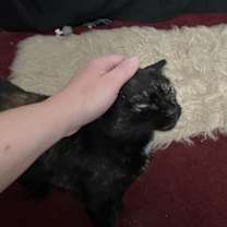 Thumbnail photo of Lydia #3