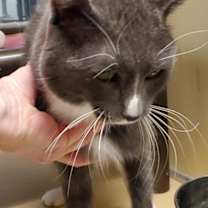 Thumbnail photo of Jacob #2